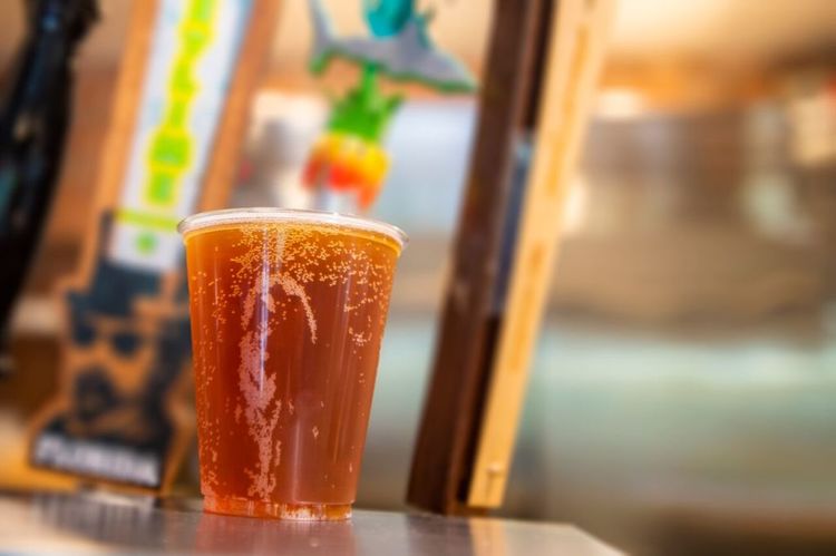 SeaWorld Orlando Adds Free Beer To Summertime Menu